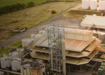 Caramuru Alimentos lança selo e certificação "Padrão Sustentar"