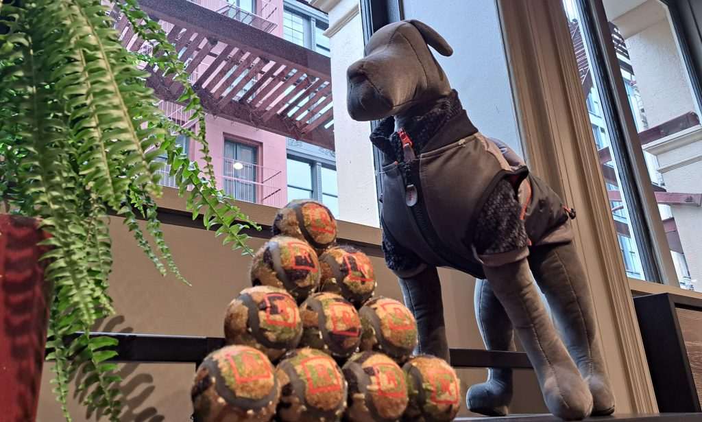 Loja da Reddy em NY foca na experiência do consumidor e de seu pet