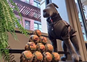 Loja da Reddy em NY foca na experiência do consumidor e de seu pet