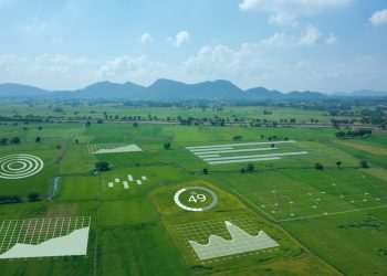 Bayer lança nova plataforma digital em parceria com Microsoft para a cadeia agro