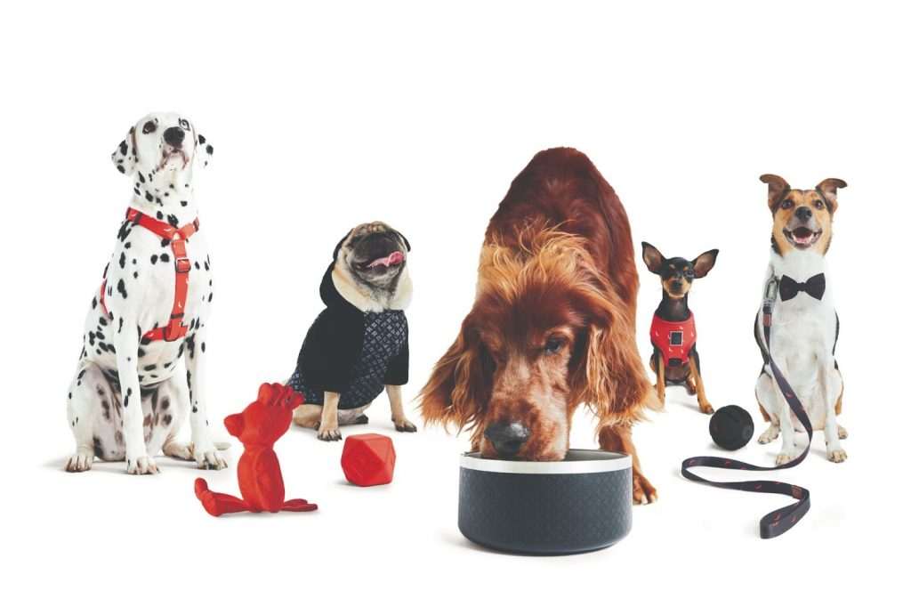 Reserva e Petlove fazem parceria para lançar linha de produtos para pets