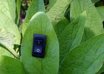 Na era do ESG, cleantechs ganham relevância e mercado já tem mais de 100 empresas