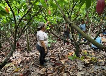 Lacta lança curso de empreendedorismo voltado para mulheres da comunidade cacaueira