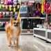Busca por pet shops está entre principais motivos da ida de consumidores aos shoppings Shutterstock