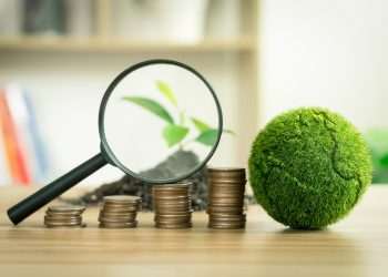 A sustentabilidade como aliada do lucro em Negócios de Impacto Socioambiental