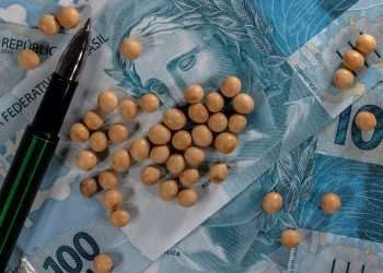 Exportações do MS crescem 25% no 1º quadrimestre, com soja, milho e celulose