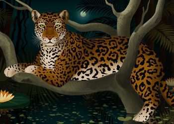 Nestlé lança NFTs para apoiar SOS Mata Atlântica