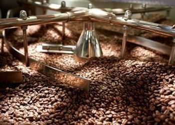 Exportação de café brasileiro em julho cresce 25,7%, para 3,774 milhões de sacas, aponta Cecafé