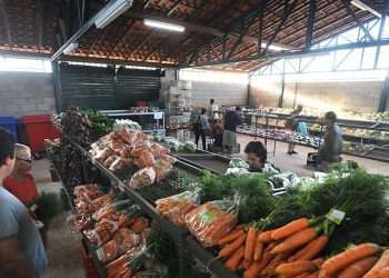 Preços da cenoura e do mamão caem nos principais mercados atacadistas