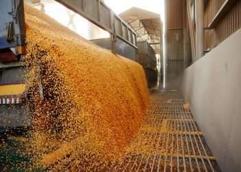 Após 6 anos, Conab retoma política de estoques públicos de alimentos