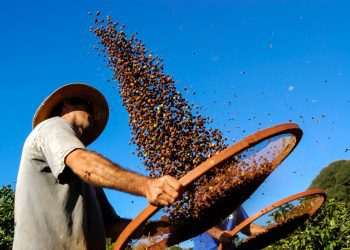 Agricultura familiar terá juros mais baixos para produção de alimentos