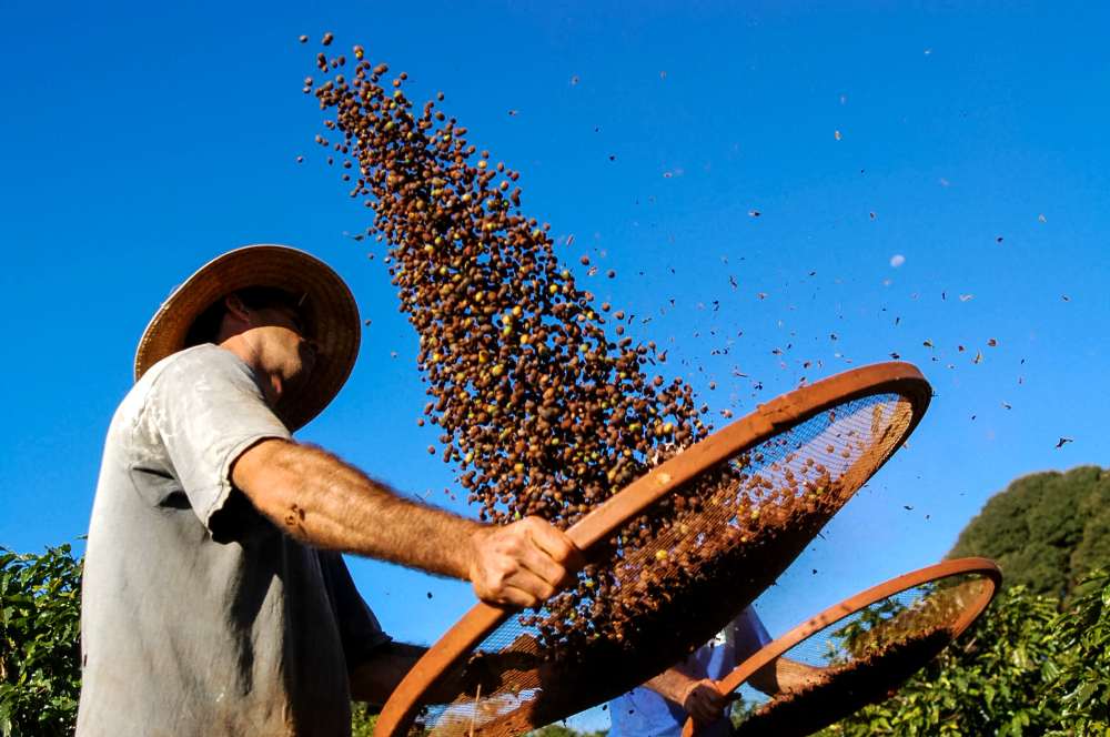 Agricultura familiar terá juros mais baixos para produção de alimentos