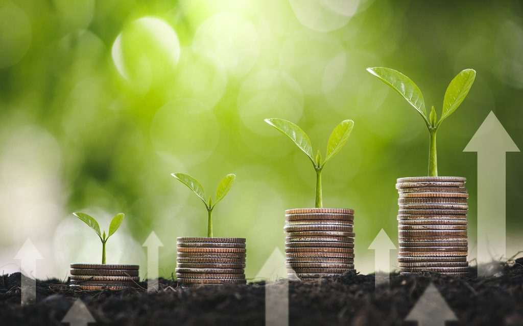 Crescera e Triaxis recebem inscrições para novo fundo para startups focado em ESG