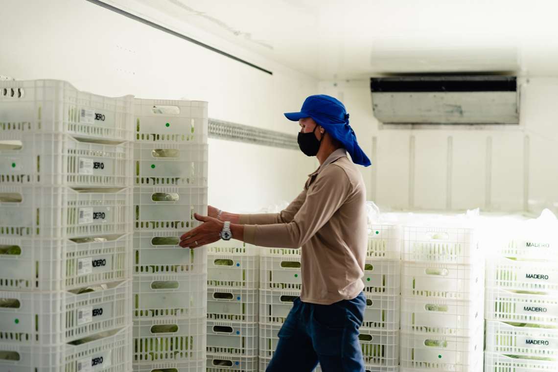 O Grupo Madero investe em produtos orgânicos visando alimentação saudável