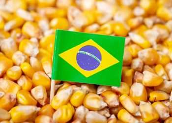 ApexBrasil lança projeto para promover exportações de farelo de milho