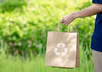 Consumidores priorizam o meio ambiente em suas compras sustentáveis