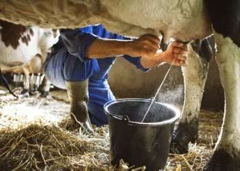 Trabalhadores pedem redução de juros para produzir alimentos no Brasil