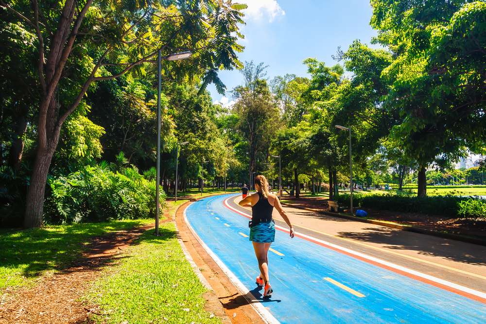 Com parceria da Braskem, Parque do Ibirapuera antecipa em 2 anos meta de lixo zero