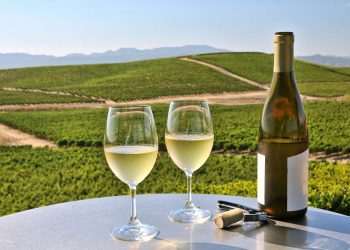 Como os cientistas tentam salvar a indústria de vinhos nos EUA das mudanças climáticas