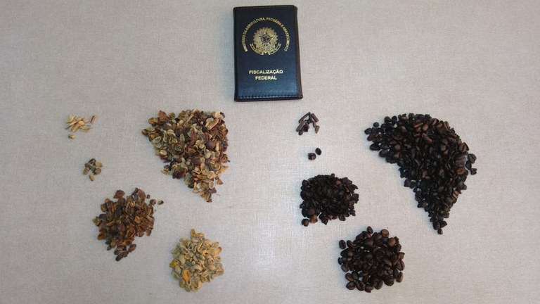 Café: Agricultura recolhe oito lotes de produtos irregulares
