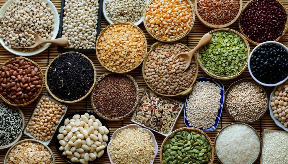 Grupo Puro cria programa de afiliados e planeja expansão do setor de varejo saudável