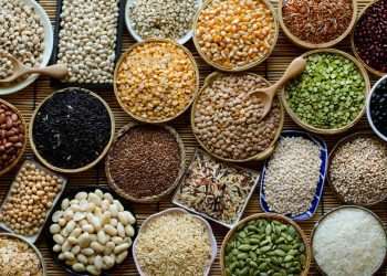 Grupo Puro cria programa de afiliados e planeja expansão do setor de varejo saudável