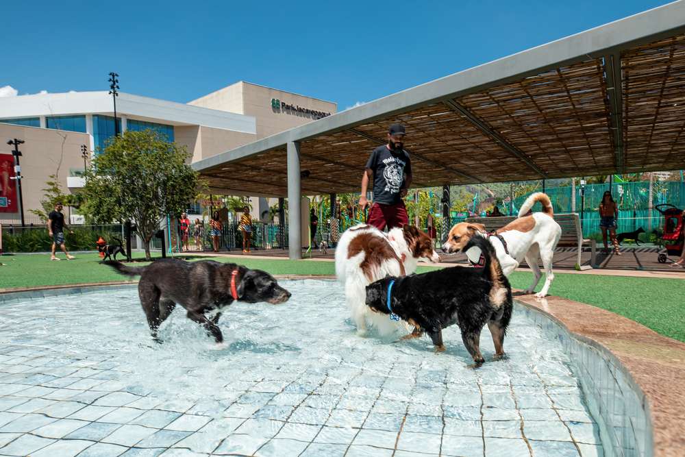 Shoppings devem atrair famílias com filhos de todos os tipos. Inclusive os de quatro patas.