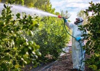 Ministro da Agricultura defende alimentos seguros com cada vez menos pesticidas
