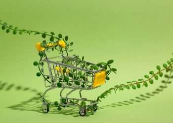 Consumidores sustentáveis voltam a crescer na América Latina após dois anos de queda