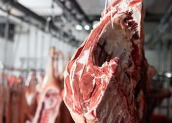 Fechamento de frigoríficos em pequenas cidades nos EUA afeta trabalhadores e economias locais