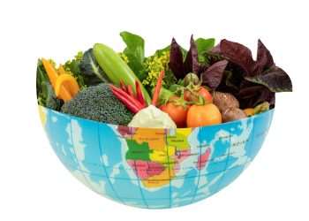 Efeitos negativos de produção de alimentos são quase 10% do PIB global, aponta FAO