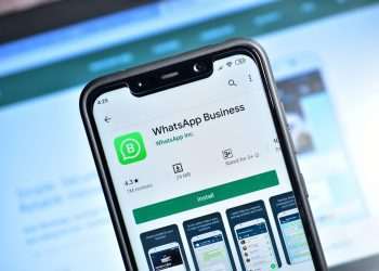 MG: WhatsApp lidera preferência de microempresários em plataformas digitais