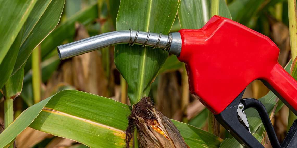 Neomille recebe autorização da ANP para iniciar produção de etanol na nova fábrica em Maracaju (MS)