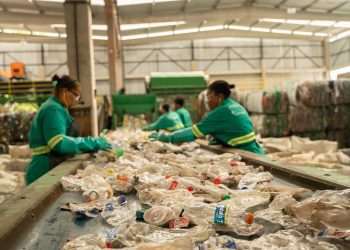 Coca-Cola Brasil anuncia ações de apoio aos catadores de materiais recicláveis - Olhos de Lince/Divulgação