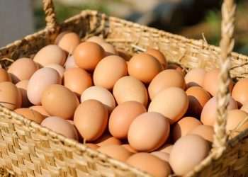 Serviço de e-commerce da Mantiqueira prevê dobrar faturamento em 2024