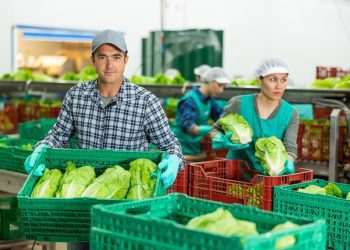 Agricultura fecha o ano com 76 mercados abertos para produtos agro em 38 países