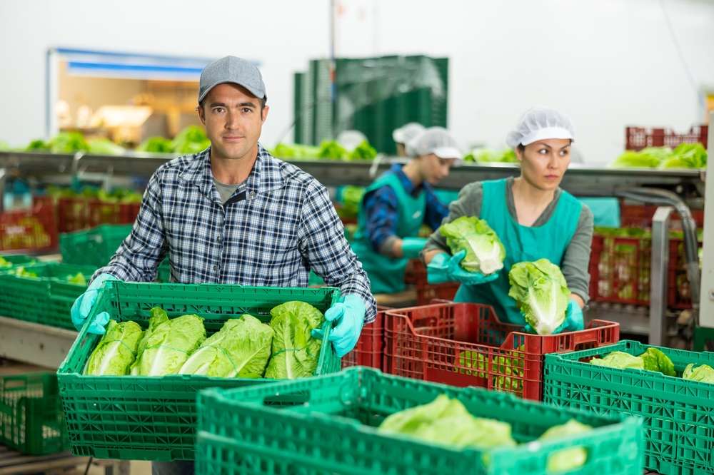 Agricultura fecha o ano com 76 mercados abertos para produtos agro em 38 países