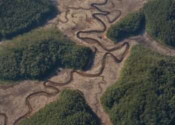 Mudanças climáticas prejudicam crescimento do Brasil, avalia OCDE