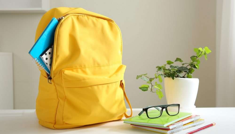 PMEs online já faturaram R$ 1,4 milhão com a volta às aulas em 2024