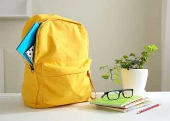 PMEs online já faturaram R$ 1,4 milhão com a volta às aulas em 2024