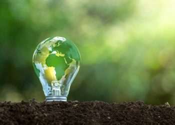 Presidente da Vibra vê transição energética no Brasil via combustíveis ante eletrificação