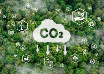 Eletrobras deposita R$ 924,17 mi para descarbonização da Amazônia Legal