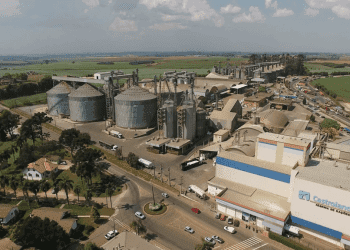 Castrolanda fatura 7,4% menos em 2023, mas distribuirá R$ 57,4 milhões em sobras