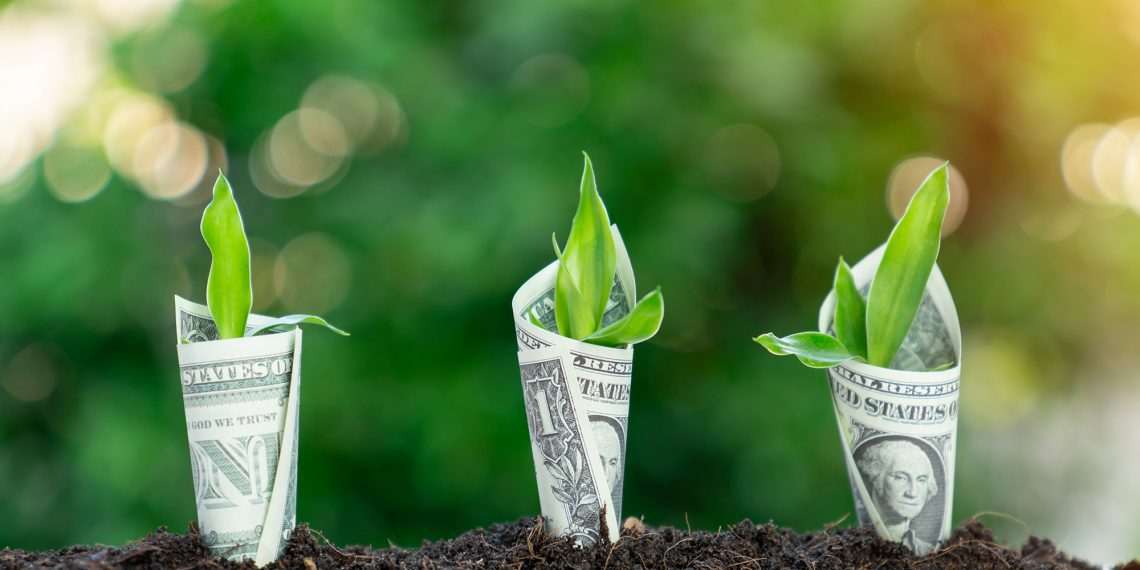 B4 e a estratégia de gerar ganhos para as empresas de olho na sustentabilidade