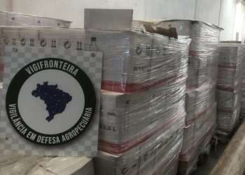 Operação Getsêmani combate esquema ilícito de importação e distribuição de azeite fraudado