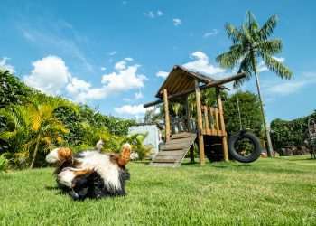 Villa Ayê lança medelo de franquia de pousada boutique 100% pet friendly