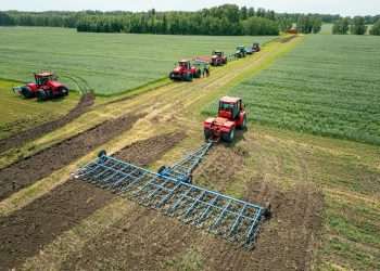 Primeiro trimestre é o melhor da série histórica em abertura de mercados para o agronegócio