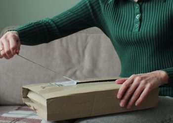 Vinhos, artigos para pets e livros são os favoritos dos clientes de clubes de assinatura