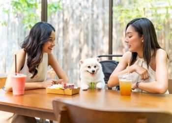 Equilíbrio entre tecnologia e humanidade: o caminho para o crescimento e impacto positivo das redes de foodservice