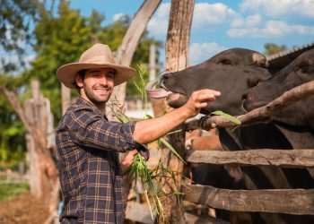 JBS amplia programa de regularização ambiental do produtor e foca mais 1,3 mil propriedades